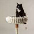 Load image into Gallery viewer, Appalachians Pear Wood Cat Tree
