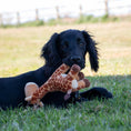Load image into Gallery viewer, Small Bite Giraffe Toy for Puppies & Smaller Dogs
