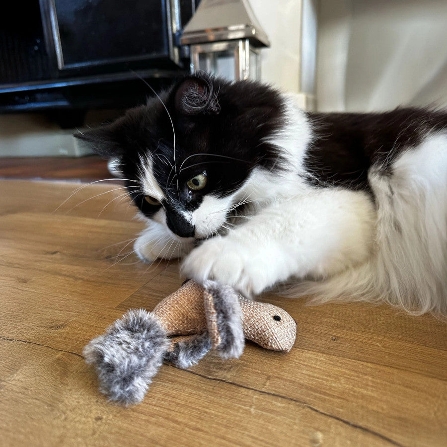 Cheeping Bird Cat Toy