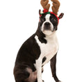 Load image into Gallery viewer, Reindeer Dog Antlers
