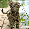 Load image into Gallery viewer, Plaid Cat Lead
