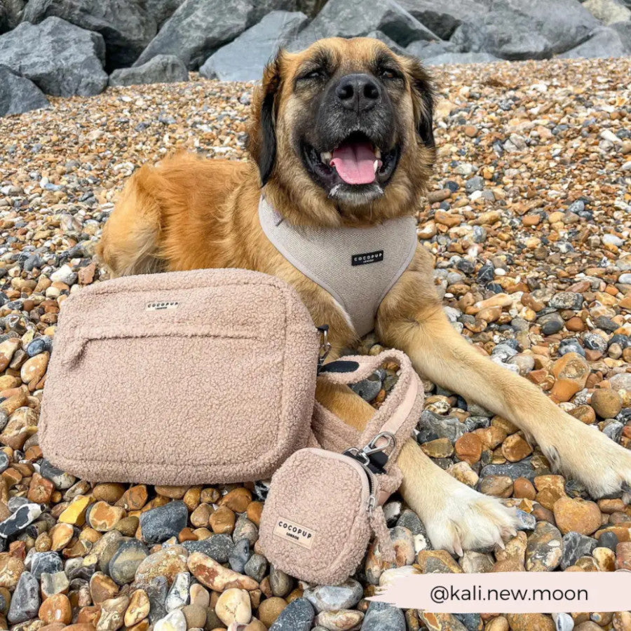 Treat Bag Teddy Rupert