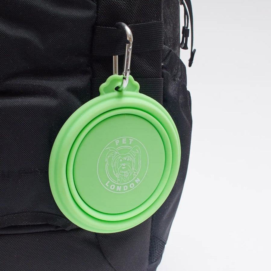 Collapsible Dog Travel Bowl Green