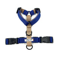 Load image into Gallery viewer, Colour Block Webbing Harness
