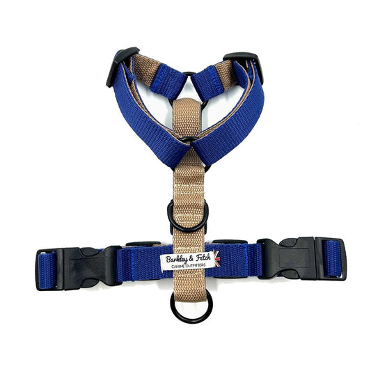 Colour Block Webbing Harness