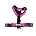 Load image into Gallery viewer, Colour Block Webbing Harness
