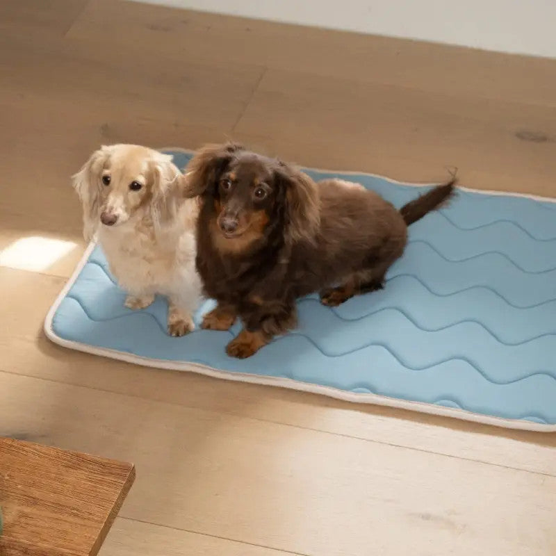 Cool Wave Memory Foam Pet Mat Sky