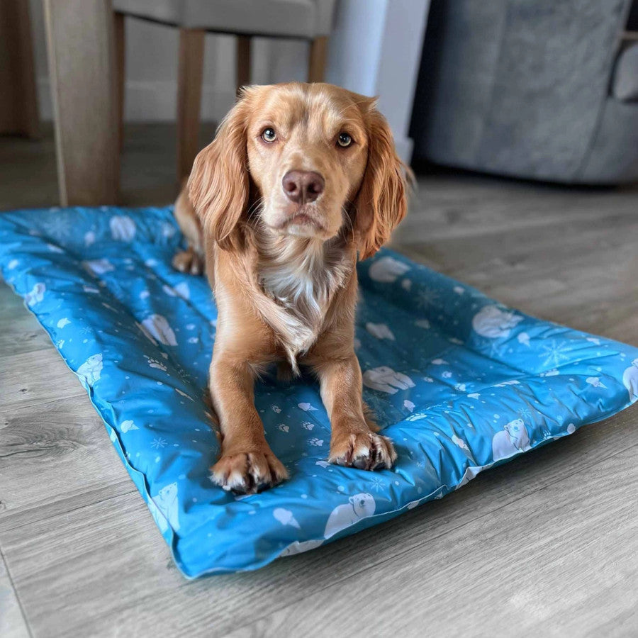 Ice Paws Cooling Pet Bed