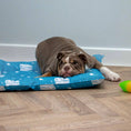 Load image into Gallery viewer, Ice Paws Cooling Pet Bed
