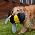 Load image into Gallery viewer, Cuddly Critters Dog Toy
