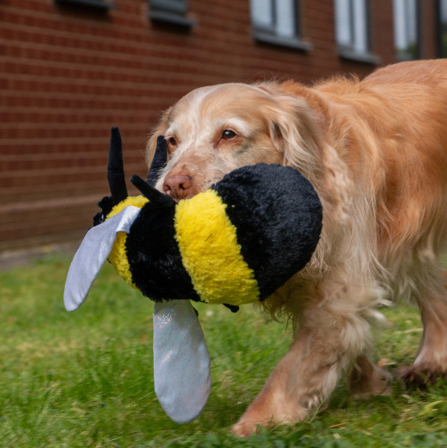Cuddly Critters Dog Toy