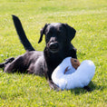 Load image into Gallery viewer, Cuddly Critters Dog Toy
