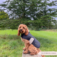 Load image into Gallery viewer, Luxe Quilted Dog Coat Midnight Black
