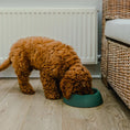 Load image into Gallery viewer, Recycled Ocean Plastic Dog Bowl
