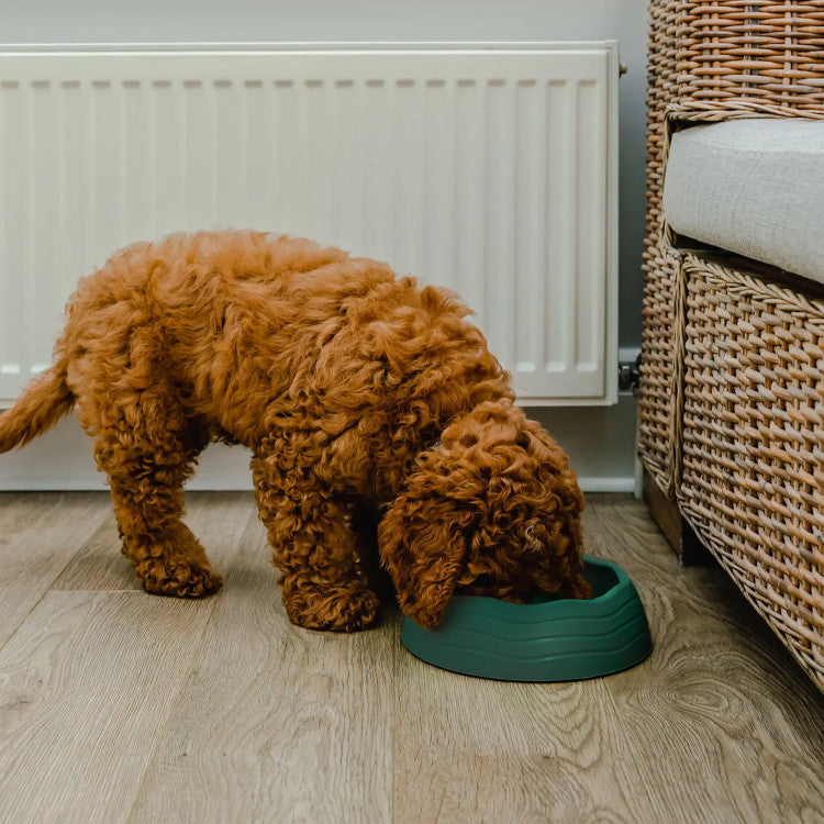 Recycled Ocean Plastic Dog Bowl