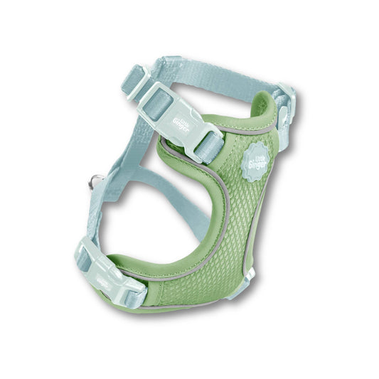 Small Pet Harness - Spearmint