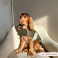 Load image into Gallery viewer, Luxe Quilted Dog Coat Countryside Khaki
