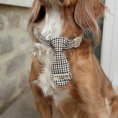 Load image into Gallery viewer, Heritage Check Dog Tie
