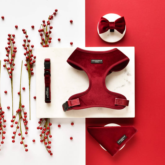 Luxe Velvet Bow Tie - Berry Red