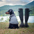 Load image into Gallery viewer, Dachshund Raincoat Turner

