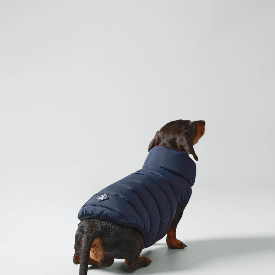 Hackett X Hugo Hudson Dog Puffer Jacket