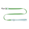 Load image into Gallery viewer, Two-Tone Lead - Spearmint
