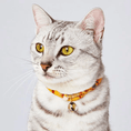 Load image into Gallery viewer, Handmade Kimono Pattern Cat Collar
