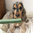 Load image into Gallery viewer, Fruity Fresh Fang Dental Chew
