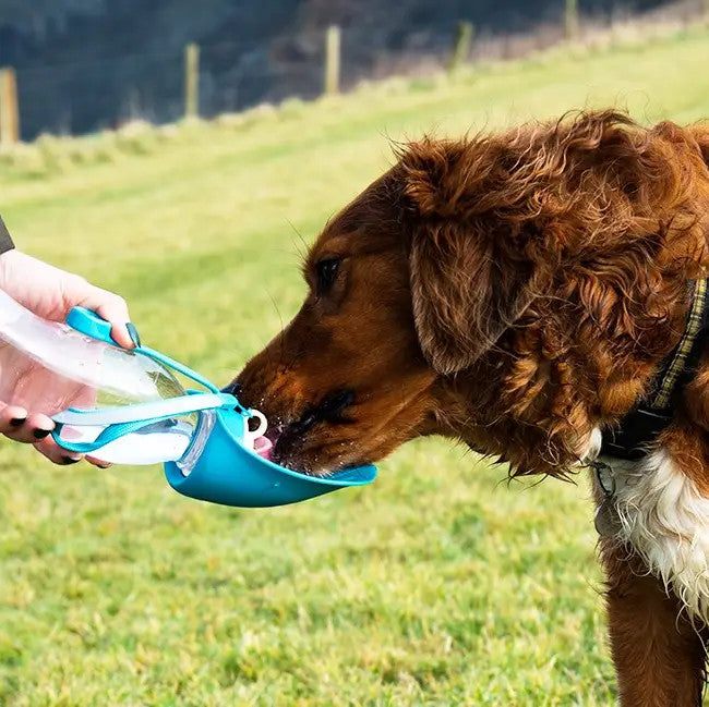 Pet Water Bottle With Leaf Bowl