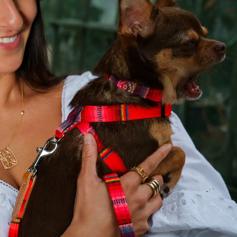 Inca Orange Classic Dog Lead