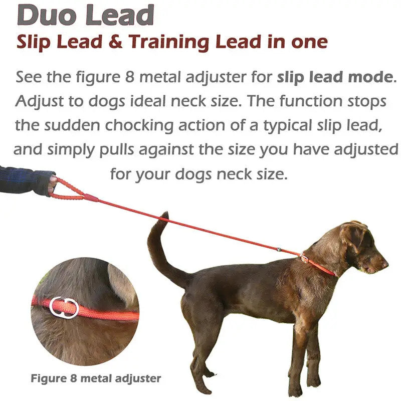 Dog Slip Lead with Fig 8 Training Aid (Medium / Large Dogs)