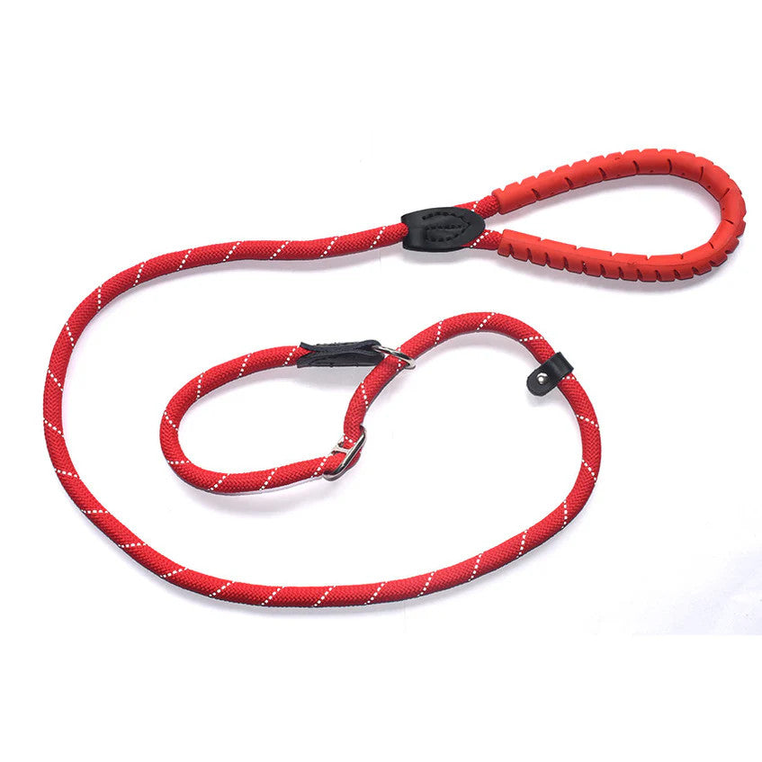 Dog Slip Lead with Fig 8 Training Aid (Medium / Large Dogs)