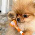 Load image into Gallery viewer, Dog Dental Care Kit

