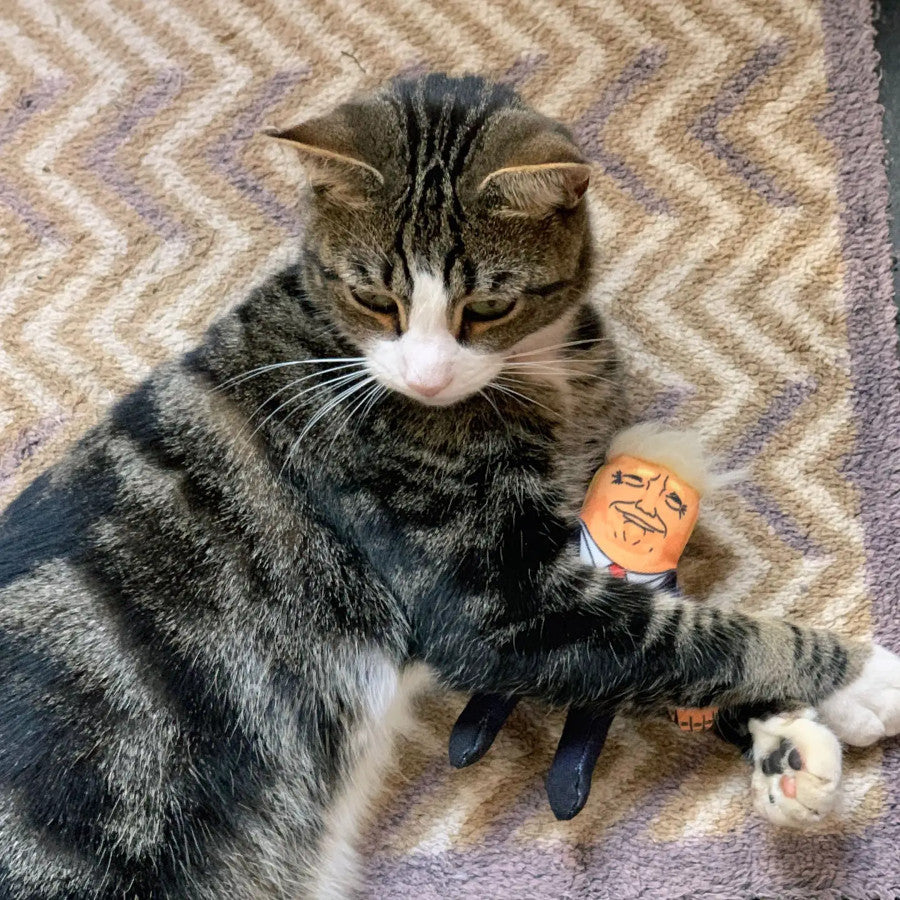 Donald Trump Cat Toy