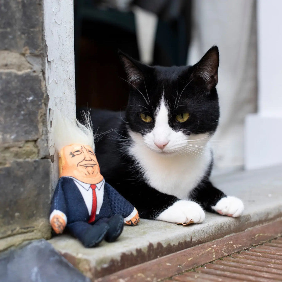 Donald Trump Cat Toy