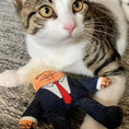 Load image into Gallery viewer, Donald Trump Cat Toy
