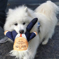 Load image into Gallery viewer, Donald Trump Dog Toy
