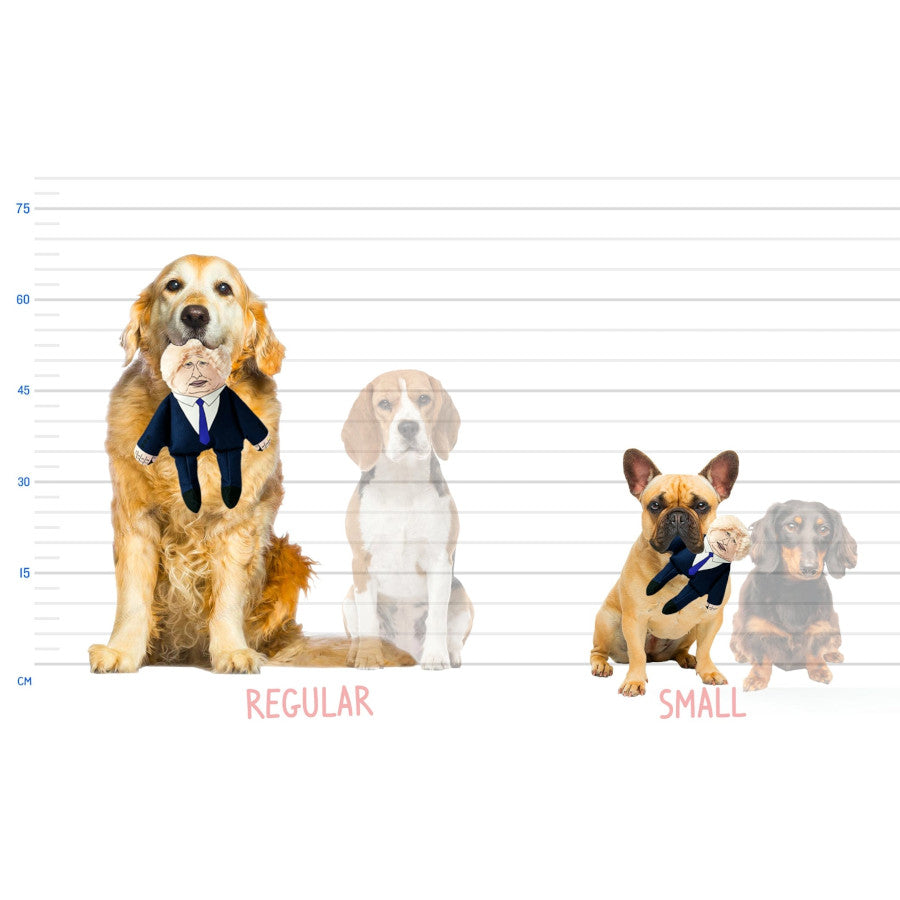 Donald Trump Dog Toy