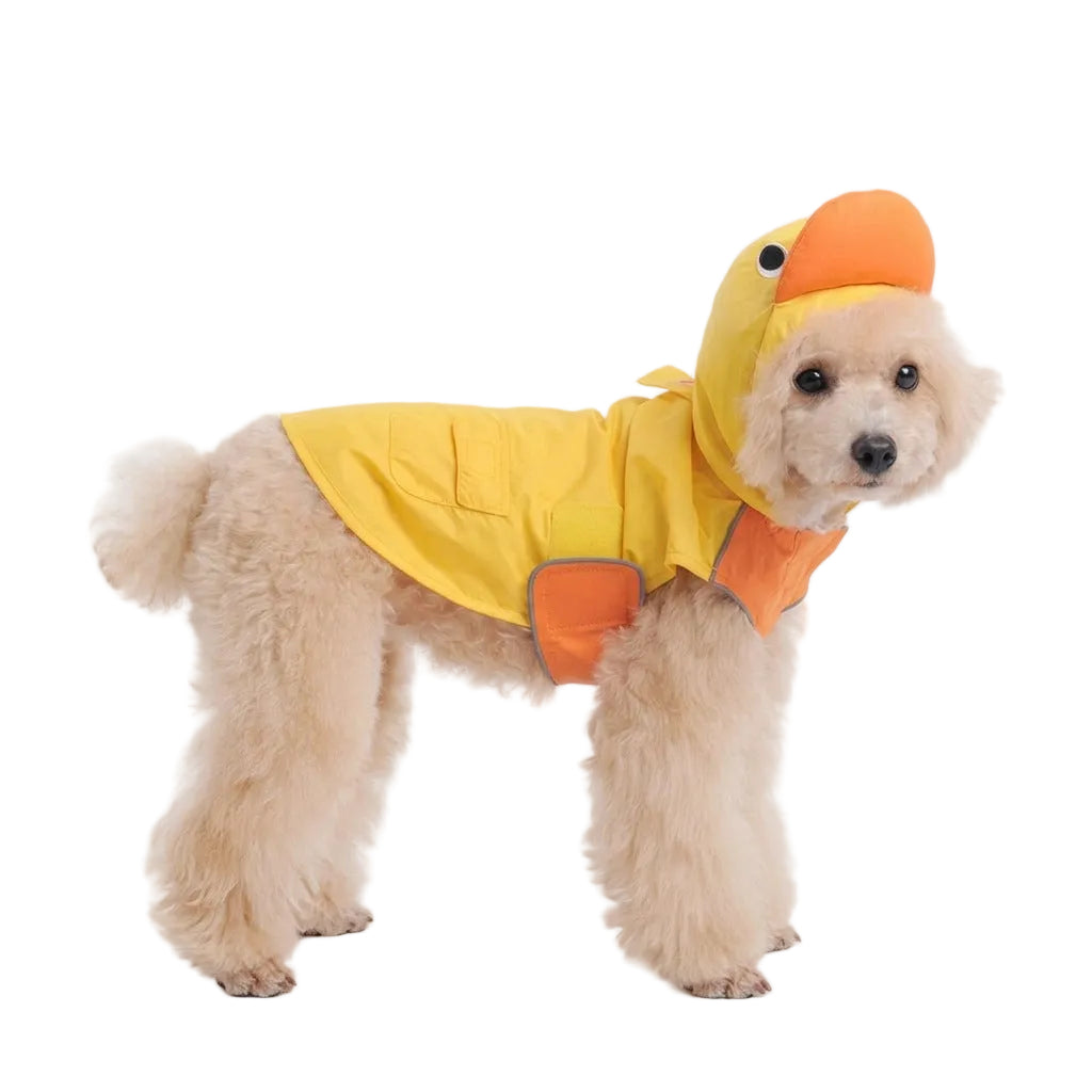 Dog wearing a yellow and orange duck costume on a white background