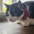 Load image into Gallery viewer, Red Tartan Cat Bandana
