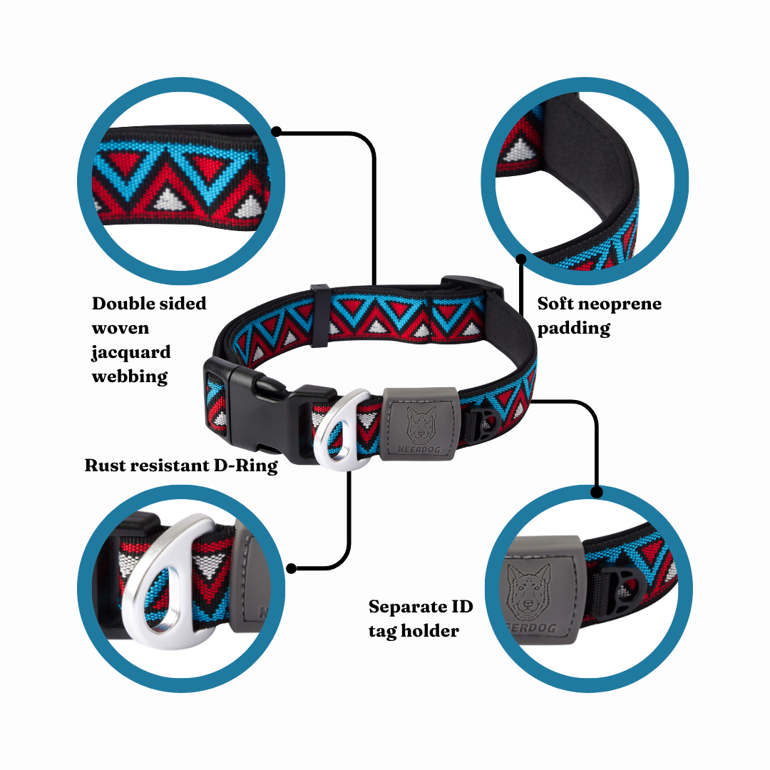 GO-CEE Dog Collar Zinnia