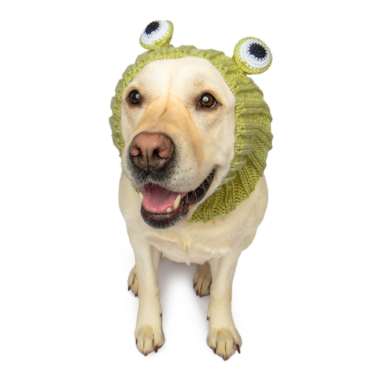 Frog Dog Snood