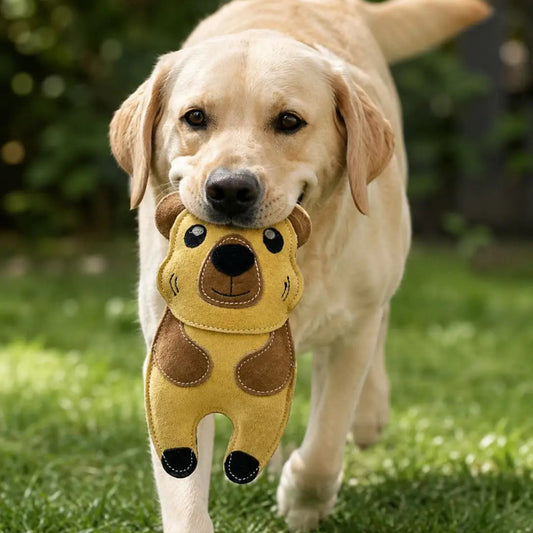 Eco Dog Toy Carlos Capybara