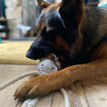 Load image into Gallery viewer, Eco Dog Toy Cuthbert The Cow
