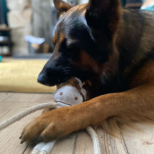 Eco Dog Toy Cuthbert The Cow