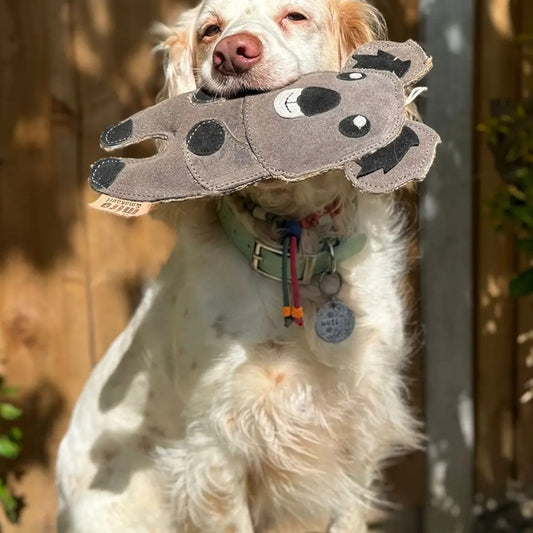 Eco Dog Toy Kelvin Koala