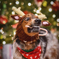 Load image into Gallery viewer, Reindeer Dog Snood
