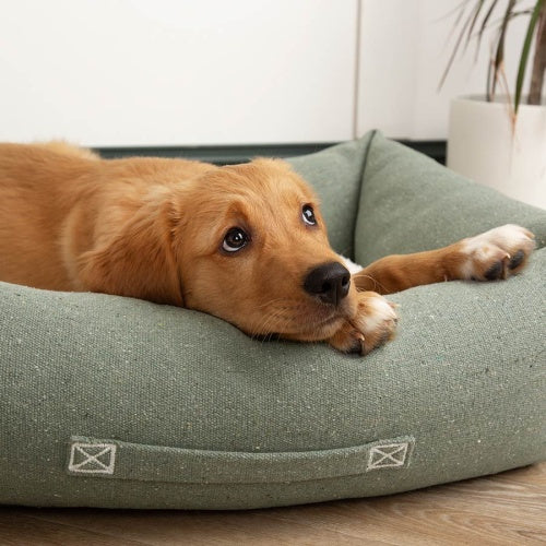 Eden 100% Recycled Box Bed Green