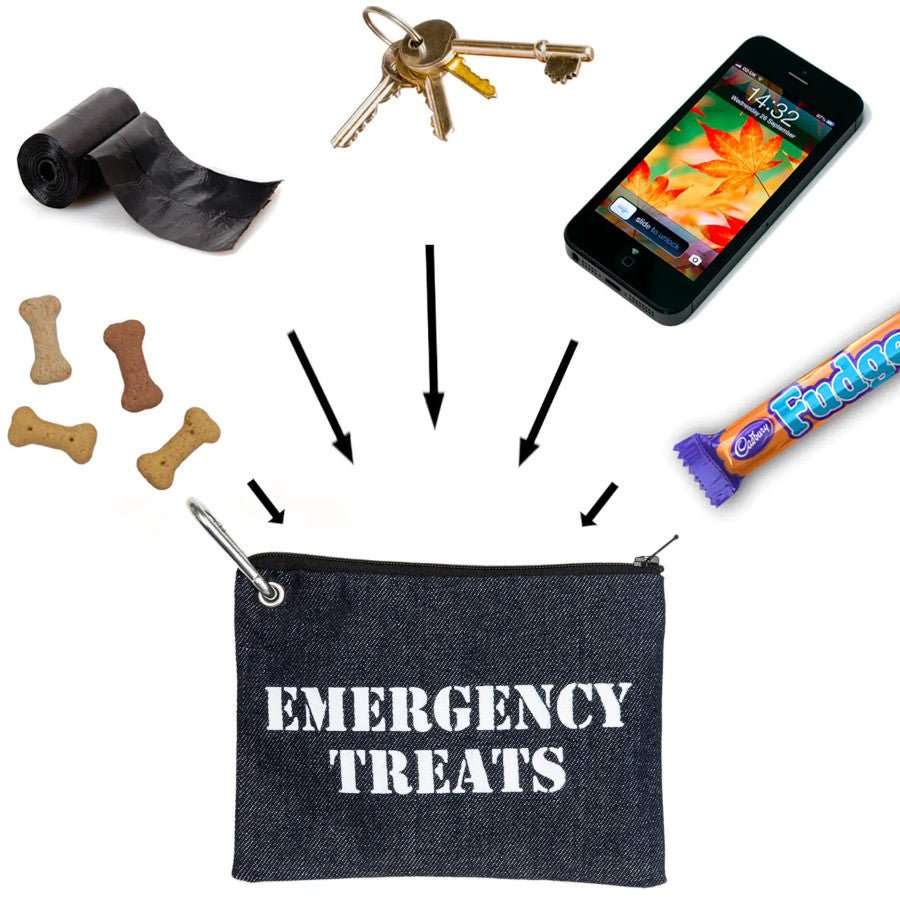 Emergency Treats Pouch X Ben Fogle