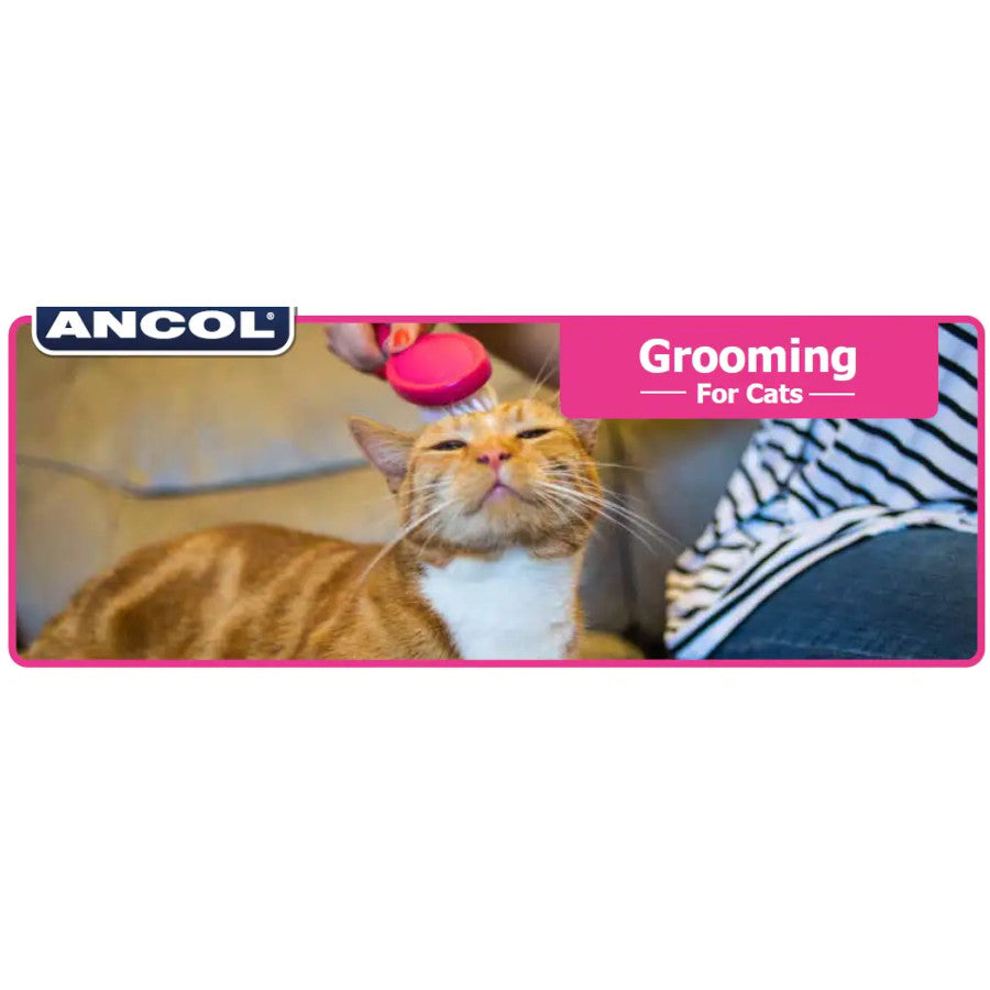 Ergo Soft Cat Brush